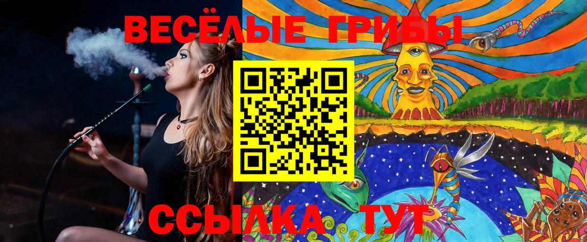 Галлюциногенные грибы GOLDEN TEACHER Карталы